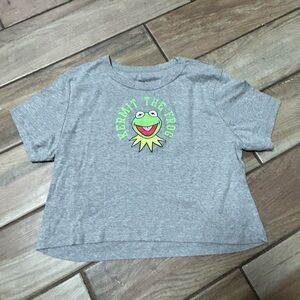 Muppets Disney shirt